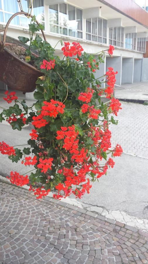 Lores 2 - Go Vacanze Aparthotel